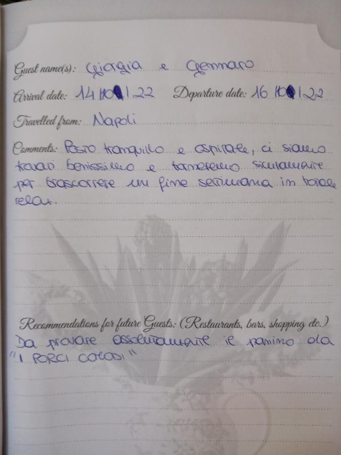 B&B Villino Luschi Pisa Centro Luaran gambar